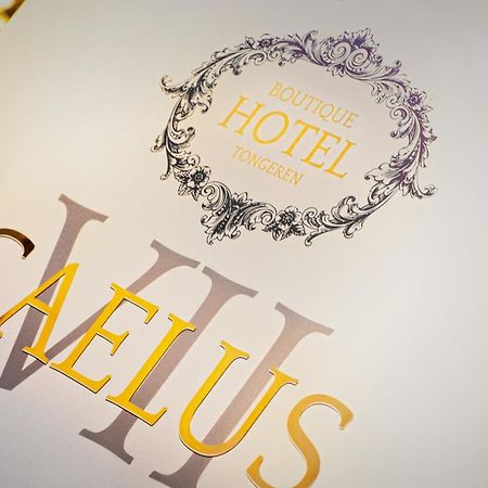 Boutique Hotel Caelus VII Tongeren Exteriér fotografie