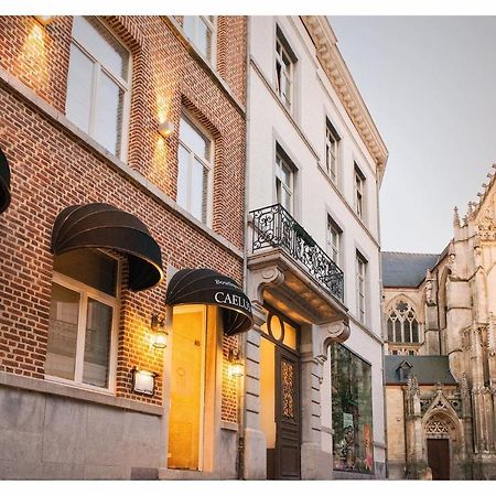 Boutique Hotel Caelus VII Tongeren Exteriér fotografie