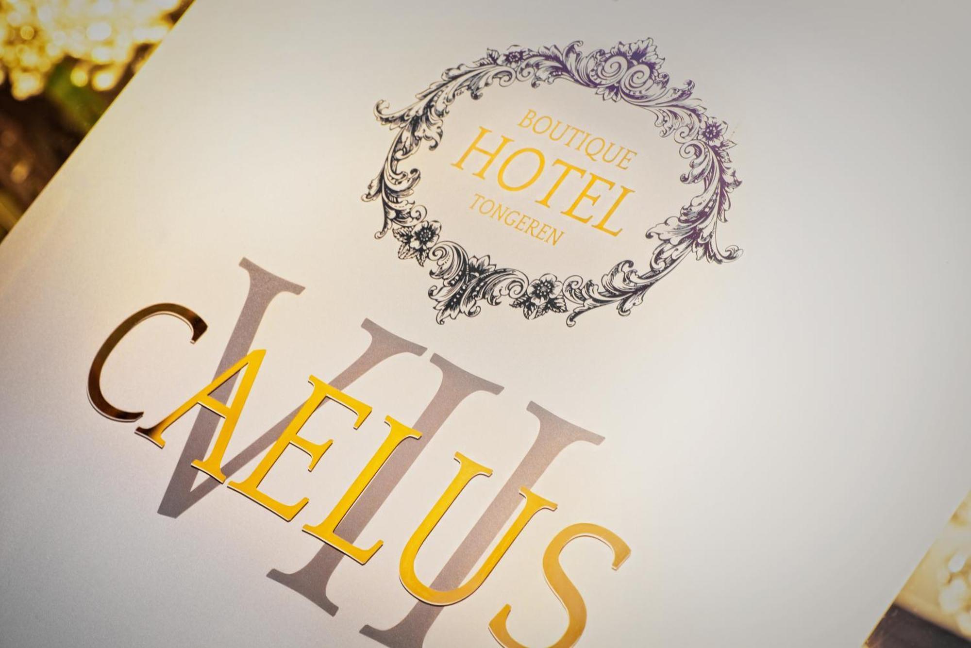 Boutique Hotel Caelus VII Tongeren Exteriér fotografie